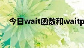 今日wait函数和waitpid函数有什么区别