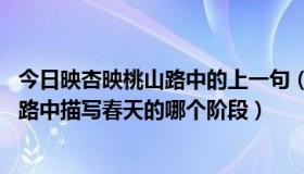 今日映杏映桃山路中的上一句（半烟半雨江桥畔 映杏映桃山路中描写春天的哪个阶段）