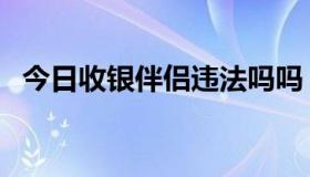 今日收银伴侣违法吗吗（收银伴侣违法吗）