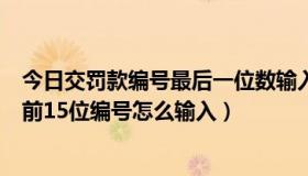 今日交罚款编号最后一位数输入了（网上交罚款要求输入的前15位编号怎么输入）