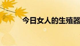 今日女人的生殖器官由什么组成