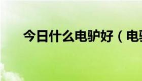 今日什么电驴好（电驴和哇嘎哪个好）