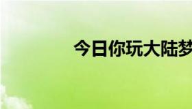 今日你玩大陆梦希望牌吗？