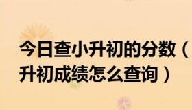 今日查小升初的分数（呼市秋实学校2013小升初成绩怎么查询）