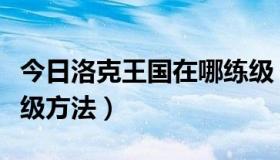 今日洛克王国在哪练级（洛克王国火影娃娃练级方法）