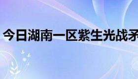 今日湖南一区紫生光战矛多少钱，最高级别？