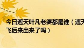 今日遮天叶凡老婆都是谁（遮天里叶凡有几个妻子，是谁涂飞后来出来了吗）