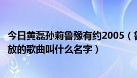 今日黄磊孙莉鲁豫有约2005（鲁豫有约里黄磊和孙莉里面播放的歌曲叫什么名字）