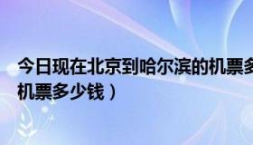 今日现在北京到哈尔滨的机票多少钱（现在从哈尔滨到北京机票多少钱）