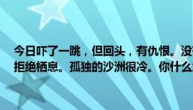 今日吓了一跳，但回头，有仇恨。没有一个省份把所有的寒枝挑出来，拒绝栖息。孤独的沙洲很冷。你什么意思？求高人解答。