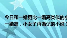 今日和一婚更比一婚高类似的小说（请问谁有类似一婚还比一婚高，小女子再婚记的小说）