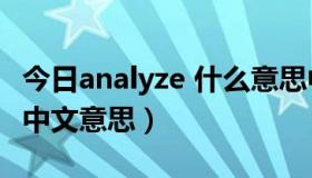 今日analyze 什么意思中文（Analyze是什么中文意思）