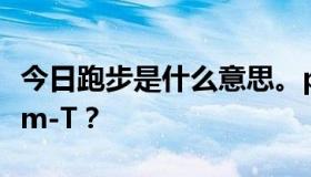 今日跑步是什么意思。ping  www.baidu.com-T？