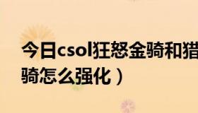 今日csol狂怒金骑和猎魂金骑（csol 狂怒金骑怎么强化）