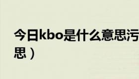 今日kbo是什么意思污知识（K-bo是什么意思）