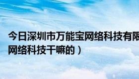 今日深圳市万能宝网络科技有限公司（互联宝宝 香港万能宝网络科技干嘛的）