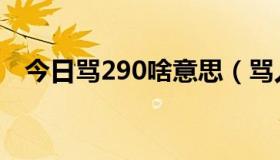 今日骂290啥意思（骂人290是什么意思）