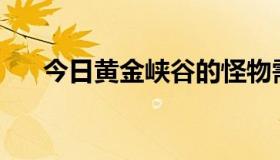 今日黄金峡谷的怪物需要打多少防御？