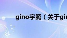 gino宇腾（关于gino宇腾的介绍）