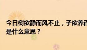 今日树欲静而风不止，子欲养而不待。一切美德孝为先。这是什么意思？