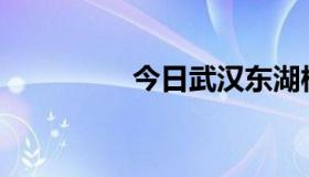 今日武汉东湖校区好吗？