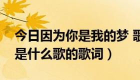 今日因为你是我的梦 歌词（因为你是我的梦是什么歌的歌词）