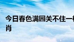 今日春色满园关不住一枝什么出墙来是什么生肖