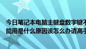 今日笔记本电脑主键盘数字键不管用（主键盘上的数字键不能用是什么原因该怎么办请高手指教下）