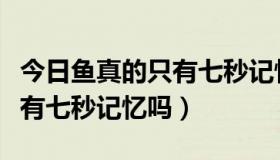 今日鱼真的只有七秒记忆吗百度云（鱼真的只有七秒记忆吗）