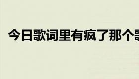 今日歌词里有疯了那个歌（我没有疯 歌词）