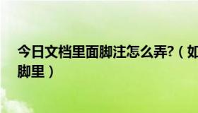 今日文档里面脚注怎么弄?（如何把脚注的文本内容放在页脚里）