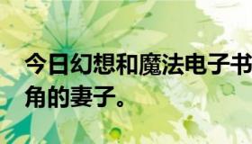 今日幻想和魔法电子书需要10个以上YY角主角的妻子。