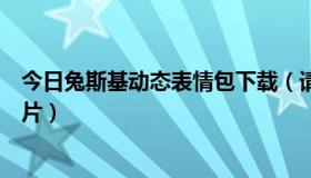 今日兔斯基动态表情包下载（请求大家有没有兔斯基动态图片）