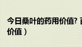 今日桑叶的药用价值? 百度网盘（桑叶的药用价值）