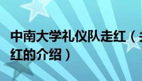 中南大学礼仪队走红（关于中南大学礼仪队走红的介绍）