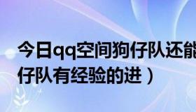 今日qq空间狗仔队还能用吗（qq空间道具狗仔队有经验的进）