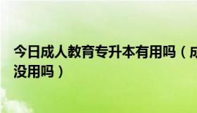 今日成人教育专升本有用吗（成人教育本科专升本真的一点没用吗）