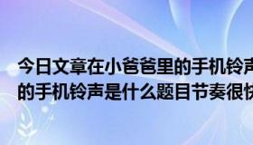 今日文章在小爸爸里的手机铃声（电视剧《小爸爸》中文章的手机铃声是什么题目节奏很快的那个）