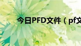 今日PFD文件（pf文件怎么产生的）