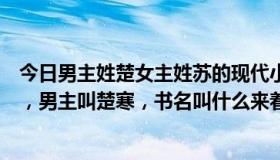 今日男主姓楚女主姓苏的现代小说（一本小说，女主叫苏唯，男主叫楚寒，书名叫什么来着）