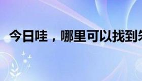 今日哇，哪里可以找到朱家堡绝望的孙宁？