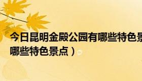 今日昆明金殿公园有哪些特色景点可以玩（昆明金殿公园有哪些特色景点）