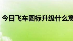 今日飞车图标升级什么意思（飞车图标升级）