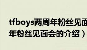 tfboys两周年粉丝见面会（关于tfboys两周年粉丝见面会的介绍）