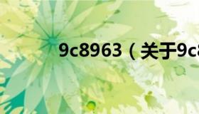 9c8963（关于9c8963的介绍）