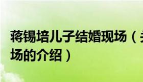 蒋锡培儿子结婚现场（关于蒋锡培儿子结婚现场的介绍）