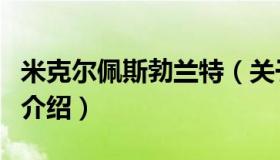 米克尔佩斯勃兰特（关于米克尔佩斯勃兰特的介绍）