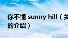 你不懂 sunny hill（关于你不懂 sunny hill的介绍）