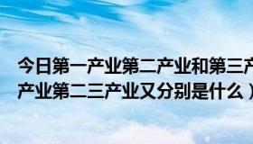 今日第一产业第二产业和第三产业分别是什么（什么是第一产业第二三产业又分别是什么）