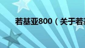 若基亚800（关于若基亚800的介绍）